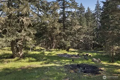 912 Sandwith Road, Friday Harbor, WA 98250 - Photo 18