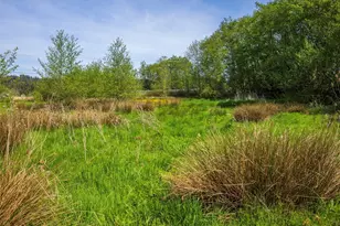 274192 E Hwy 101, Sequim, WA 98382 - Photo 38