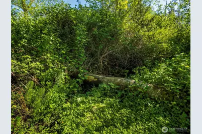 274192 E Hwy 101, Sequim, WA 98382 - Photo 36
