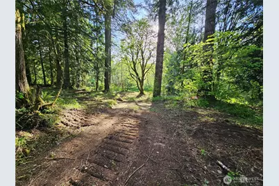 0 Lot15 Middle Earth Lane, Elma, WA 98541 - Photo 8