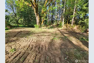 0 Lot15 Middle Earth Lane, Elma, WA 98541 - Photo 16