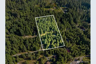 151 Roundwood Lane, Packwood, WA 98361 - Photo 32