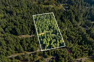 151 Roundwood Ln, Packwood, WA 98361 - Photo 32