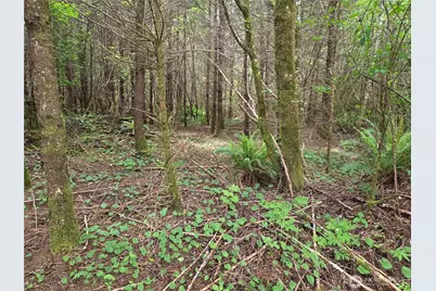 13 Beaver Hill Lane, Montesano, WA 98563 - Photo 2