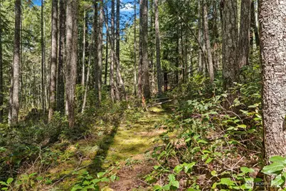 0 N White Tail Trail, Hoodsport, WA 98548 - Photo 18