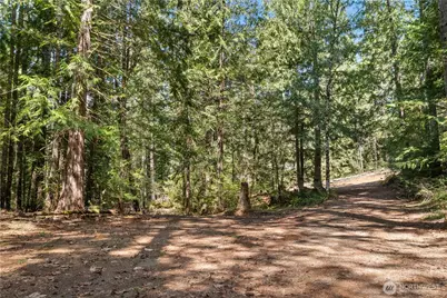 0 N White Tail Trail, Hoodsport, WA 98548 - Photo 10