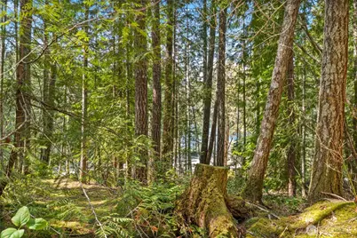 0 N White Tail Trail, Hoodsport, WA 98548 - Photo 22
