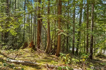 0 N White Tail Trail, Hoodsport, WA 98548 - Photo 20