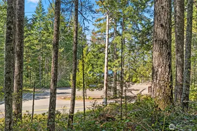 0 N White Tail Trail, Hoodsport, WA 98548 - Photo 24