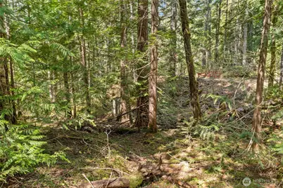 0 N White Tail Trail, Hoodsport, WA 98548 - Photo 12