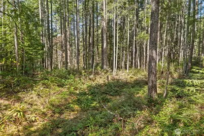 0 N White Tail Trail, Hoodsport, WA 98548 - Photo 16