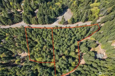 0 N White Tail Trail, Hoodsport, WA 98548 - Photo 2