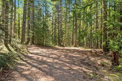 0 N White Tail Trail, Hoodsport, WA 98548 - Photo 6