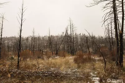 0 Red Feather Lot 16 #B, Tonasket, WA 98849 - Photo 16
