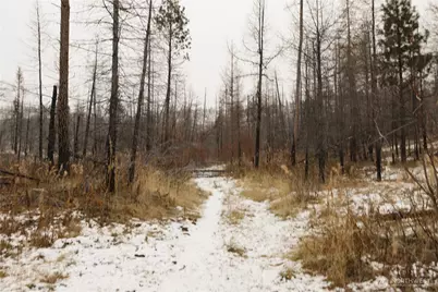 0 Red Feather Lot 16 #B, Tonasket, WA 98849 - Photo 14