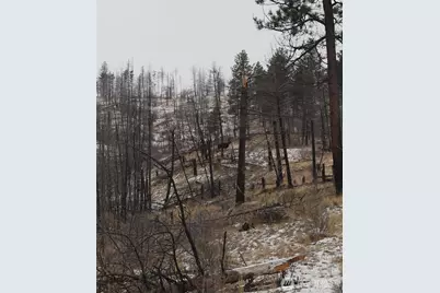 0 Red Feather Lot 16 #B, Tonasket, WA 98849 - Photo 18