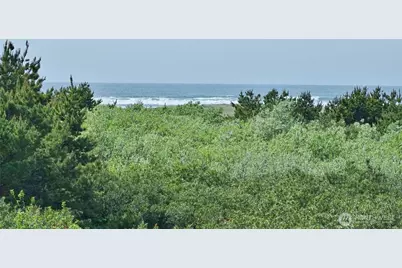 615 Ocean Shores Boulevard NW #317, Ocean Shores, WA 98569 - Photo 6