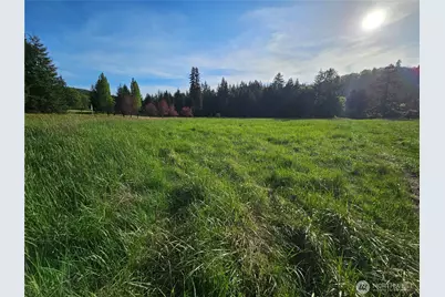 39 Lot 19 Middle Earth Lane, Elma, WA 98541 - Photo 4