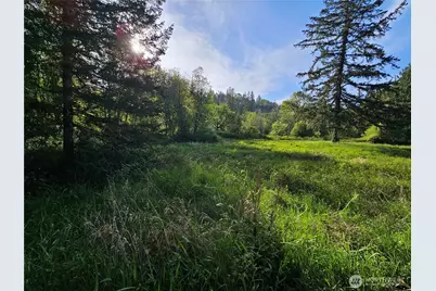 39 Lot 19 Middle Earth Lane, Elma, WA 98541 - Photo 12