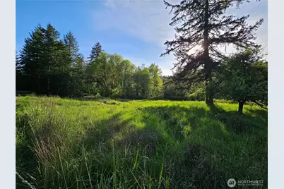39 Lot 19 Middle Earth Lane, Elma, WA 98541 - Photo 14