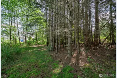 6011 Medcalf Road, Bellingham, WA 98226 - Photo 14