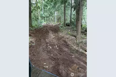 135 Xx 415th Way SE, North Bend, WA 98045 - Photo 6