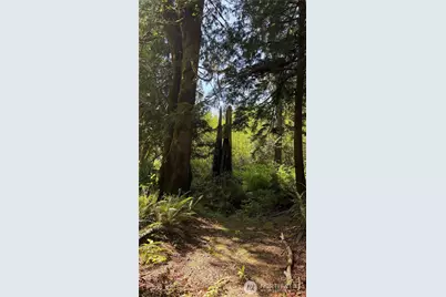 135 Xx 415th Way SE, North Bend, WA 98045 - Photo 10