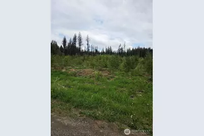 0 Windon Lane, Maple Falls, WA 98295 - Photo 1