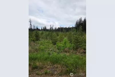 0 Windon Lane, Maple Falls, WA 98295 - Photo 2
