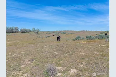 4601 Sr 17, Mesa, WA 99343 - Photo 10