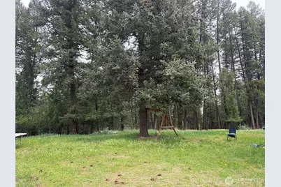 33 Old West Curlew Lake Road, Republic, WA 99166 - Photo 12