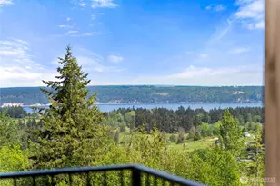 45 Tamerlane Loop, Sequim, WA 98382 - Photo 16
