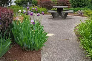 10501 8th Ave NE, Seattle, WA 98125 - Photo 12
