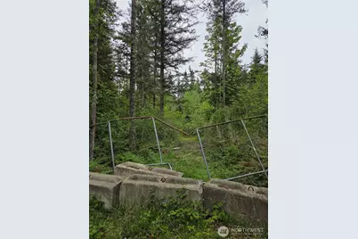 0 Wa-547 Road, Sumas, WA 98295 - Photo 4