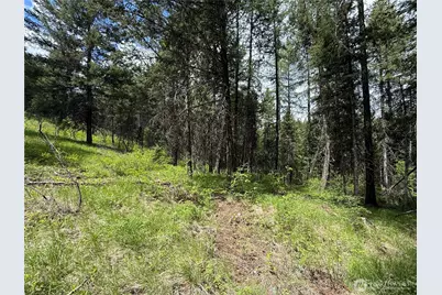 0 Knob Hill Road E, Republic, WA 99166 - Photo 26