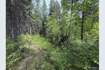 0 Knob Hill Road E, Republic, WA 99166 - Photo 6
