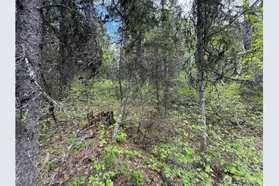 0 Knob Hill Road E, Republic, WA 99166 - Photo 24