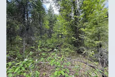 0 Knob Hill Road E, Republic, WA 99166 - Photo 16