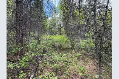 0 Knob Hill Road E, Republic, WA 99166 - Photo 30
