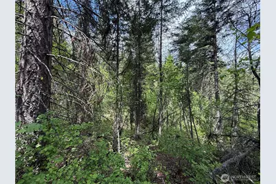 0 Knob Hill Road E, Republic, WA 99166 - Photo 8