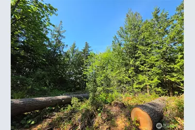 4225 Jimi Hendrix Way, Bellingham, WA 98226 - Photo 4