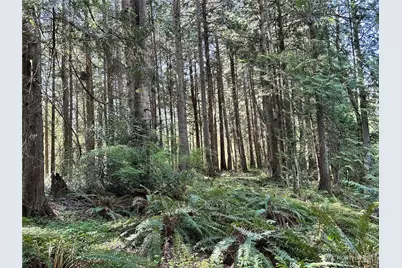 0 Lot 31 NW Lakeness, Poulsbo, WA 98370 - Photo 6