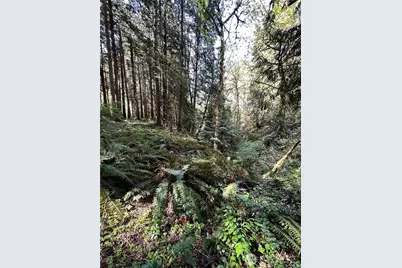 0 Lot 31 NW Lakeness, Poulsbo, WA 98370 - Photo 10