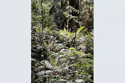 0 Lot 31 NW Lakeness, Poulsbo, WA 98370 - Photo 18