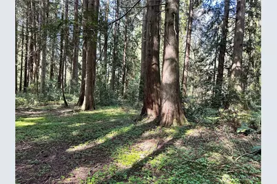 0 Lot 31 NW Lakeness, Poulsbo, WA 98370 - Photo 14