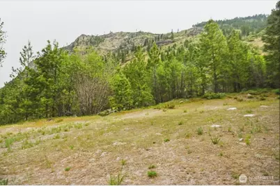 4 Lot Mossback Lane, Entiat, WA 98822 - Photo 6