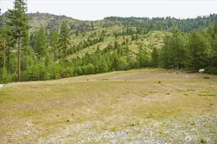 4 Lot Mossback Ln, Entiat, WA 98822 - Photo 1