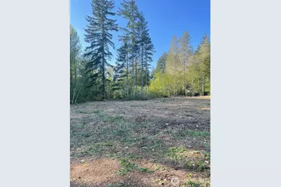 14253 W Cloquallum Road, Elma, WA 98546 - Photo 22