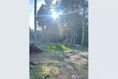 14253 W Cloquallum Road, Elma, WA 98546 - Photo 20