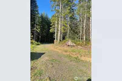 14253 W Cloquallum Road, Elma, WA 98546 - Photo 8